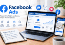 Facebook Ads campaign dashboard with audience targeting and analytics